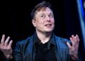 After taking over Twitter, Elon Musk plans to revive Vine, may take on TikTok with Logan Paul by his side