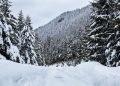 winter landscape with mixed snow