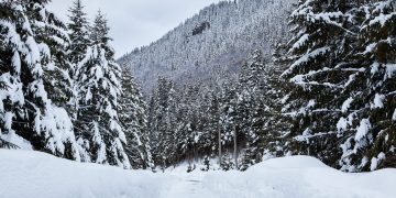 winter landscape with mixed snow