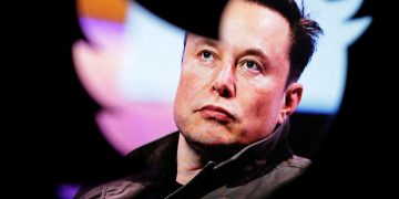 Elon Musk fires Twitter board, making himself sole director | Business and Economy