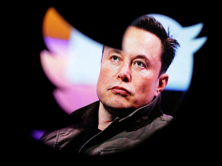 Elon Musk fires Twitter board, making himself sole director | Business and Economy
