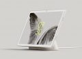 Pixel Tablet and dock