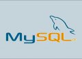 Graphic showing the MySQL logo
