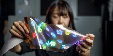 LG's new stretchable display