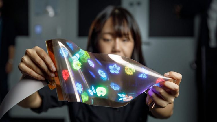 LG's new stretchable display