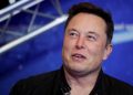 Musk delays relaunch of Twitter’s beleaguered paid service | Technology