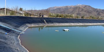 The water level at Hortifrut's blueberry farm reservoir sits far below its usual level in August. (Ciara Nugent)