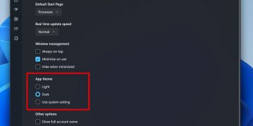 A screenshot of the Windows 11 Task Manager with options for themes