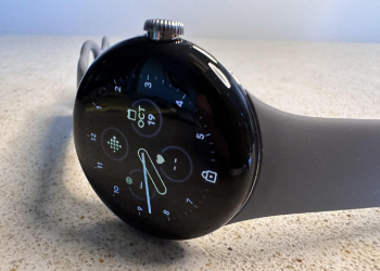 Pixel Watch in the test