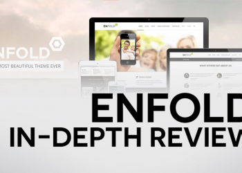 Why is the Enfold WordPress Theme so Popular