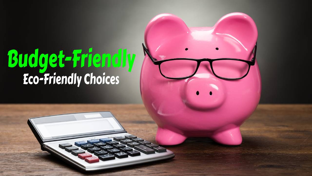 Budget-Friendly Eco-Friendly Choices