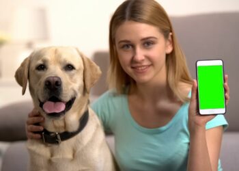 Exploring the Top 5 Virtual Pet Apps