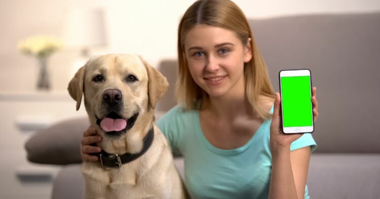 Exploring the Top 5 Virtual Pet Apps